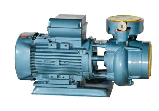 Domak SLG3 2Hp 380v Su Pompası